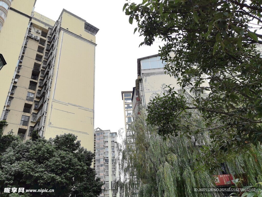 小区周边的高楼与绿植