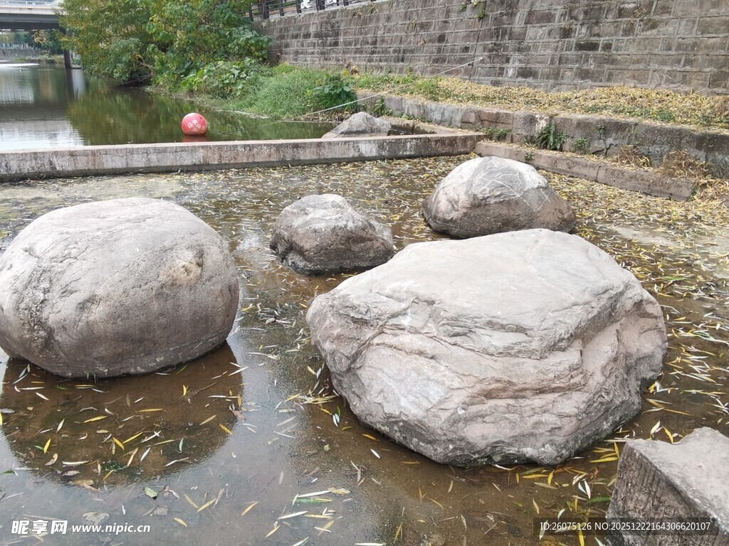 庭院中圆润的景观石