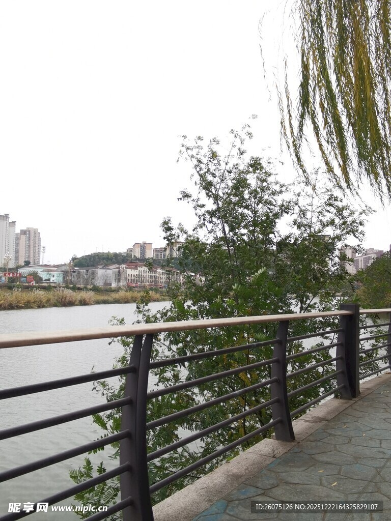 河畔栏杆旁的城市风景