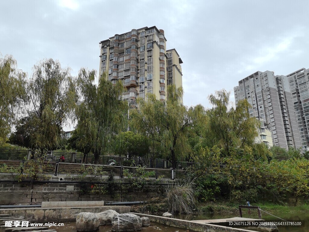 城市中的绿植与高楼景观