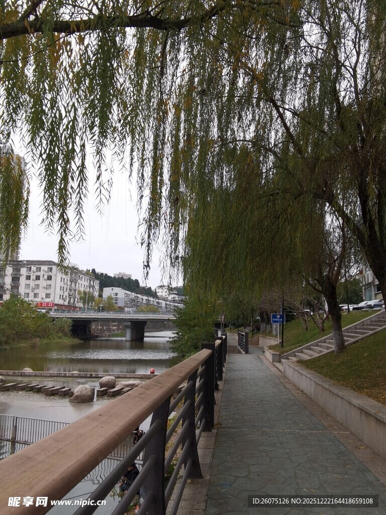 河畔垂柳下的漫步小径