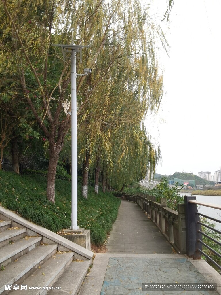 河畔垂柳相伴的幽静步道