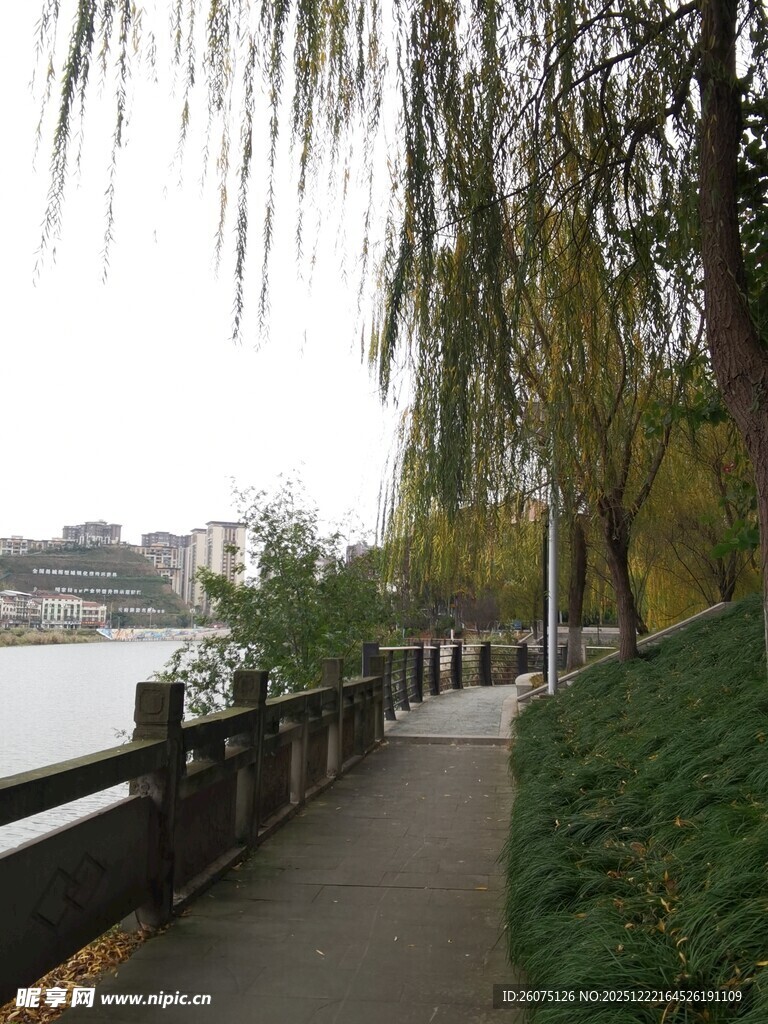 河畔垂柳下的幽静小路