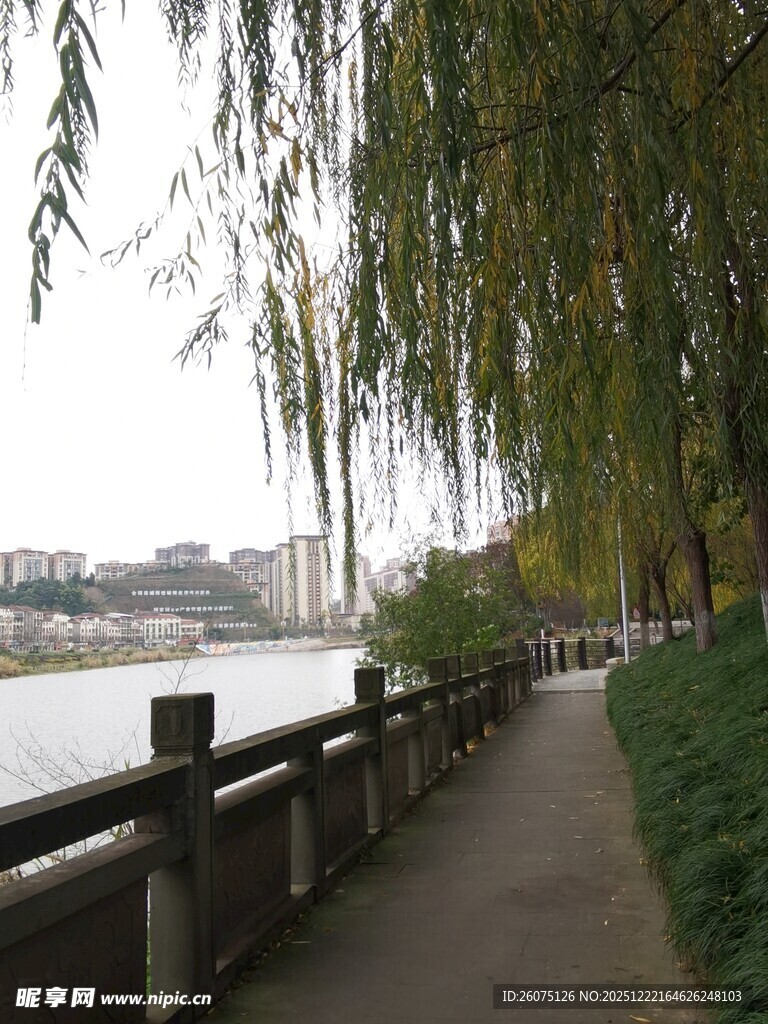 河畔垂柳下的幽静步道