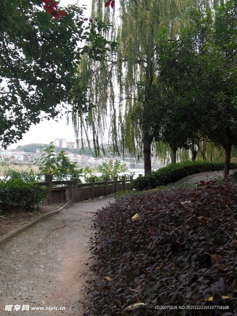 林间小径静谧自然之景