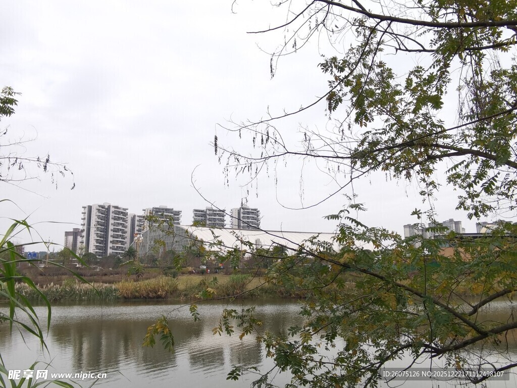 湖畔城市风光绿树相伴