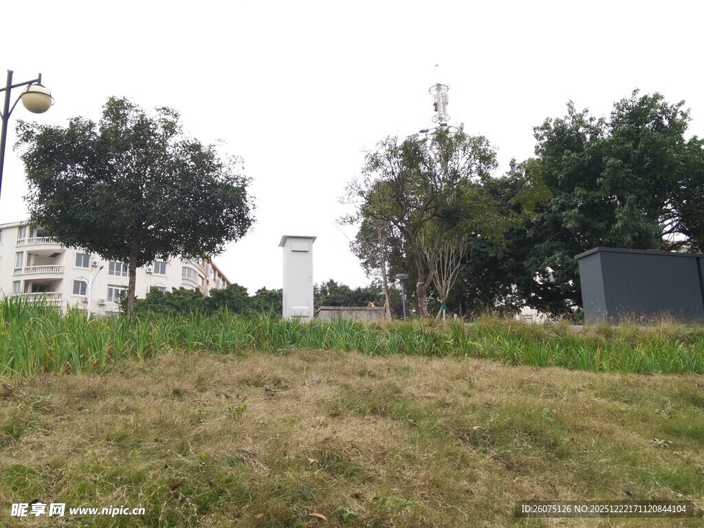 户外草地与树木场景