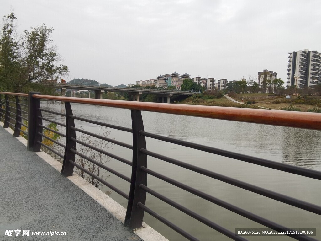河畔护栏旁的城市风景