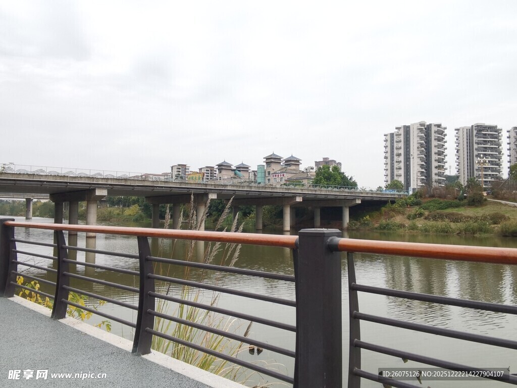 河畔护栏旁的城市桥景