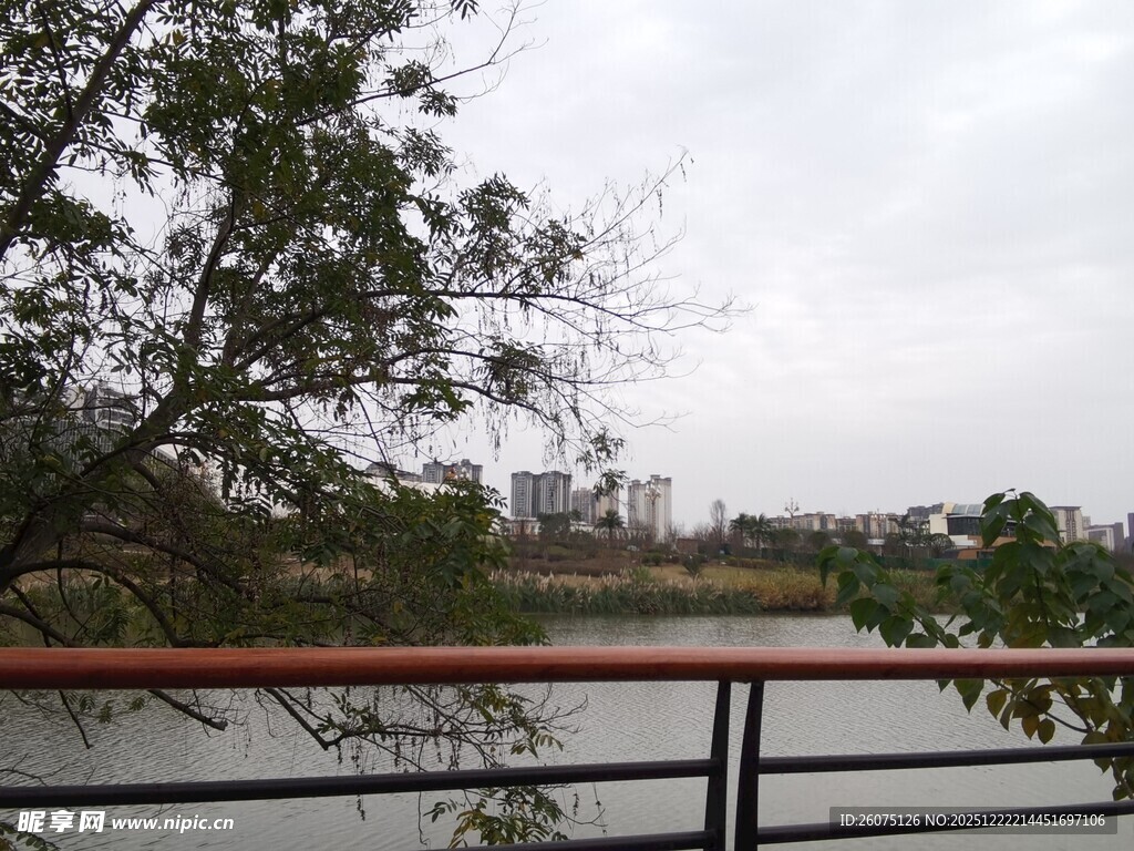 湖畔栏杆边的树木与远景