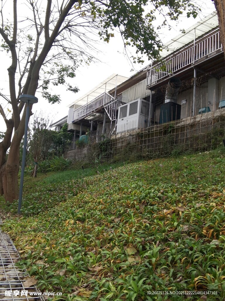 老旧房屋旁的草地与树木