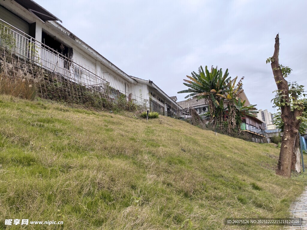 山坡旁的老旧房屋与草地