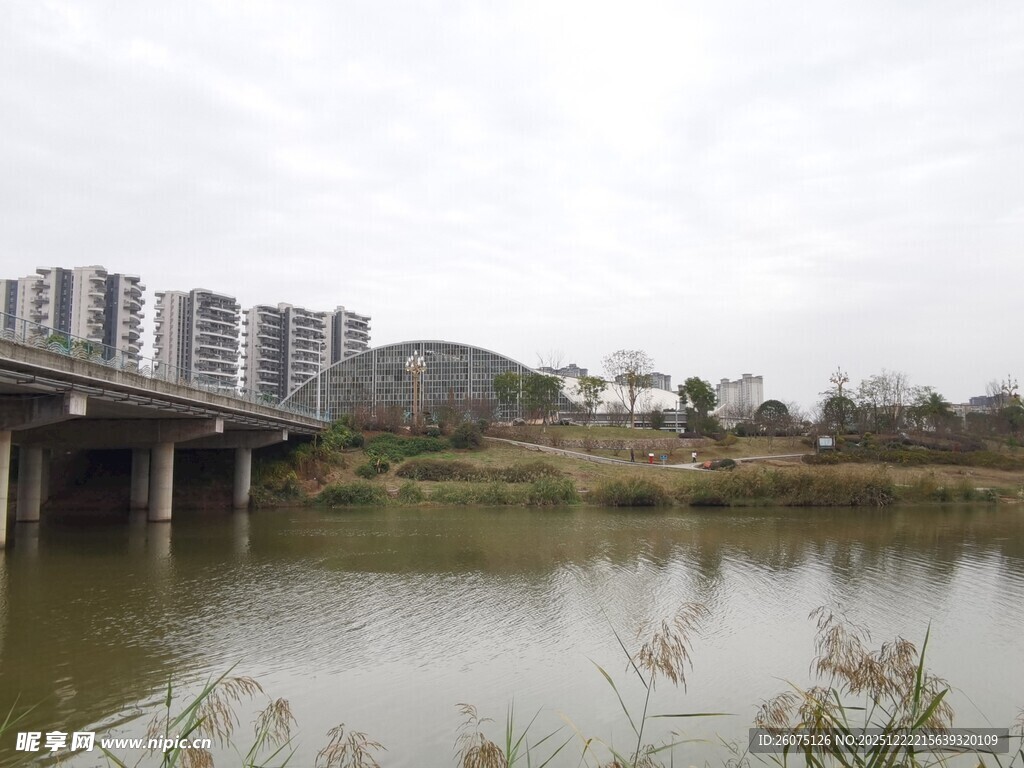 河畔桥梁与城市建筑景观