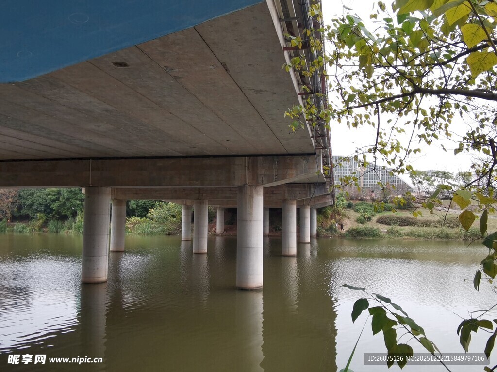 河畔桥梁下的自然景致