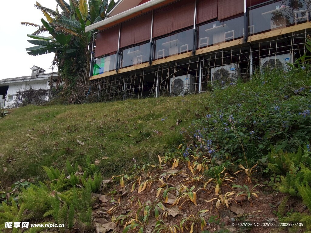 山坡旁的红顶建筑