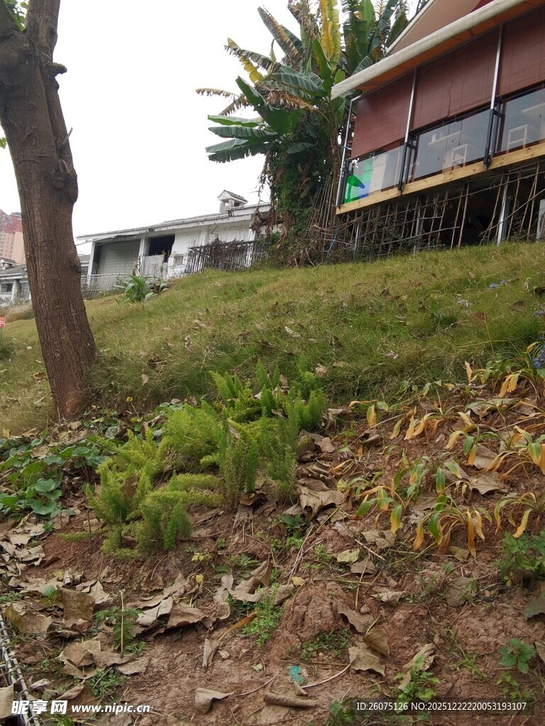 户外草地旁的房屋一角