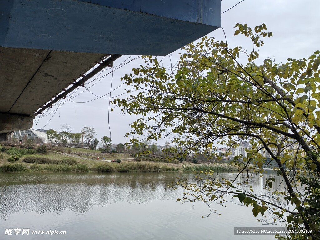 河畔桥边绿意盎然景致