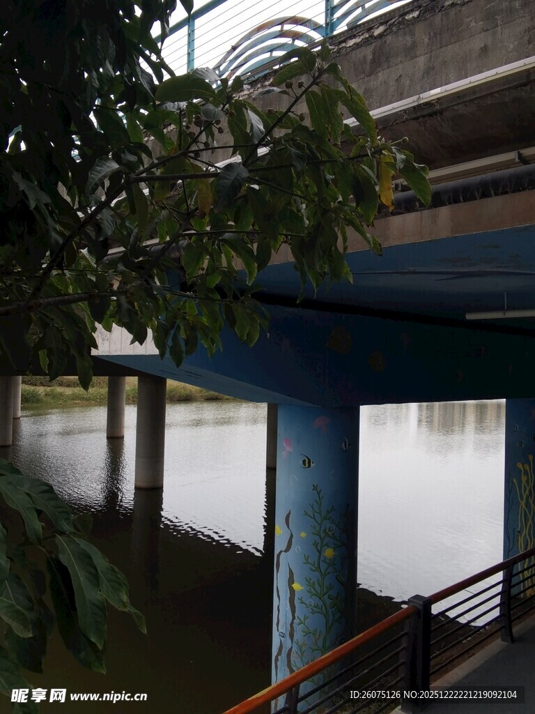 河畔桥梁下的静谧景致