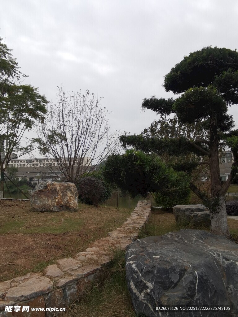 中式园林景观石树相映