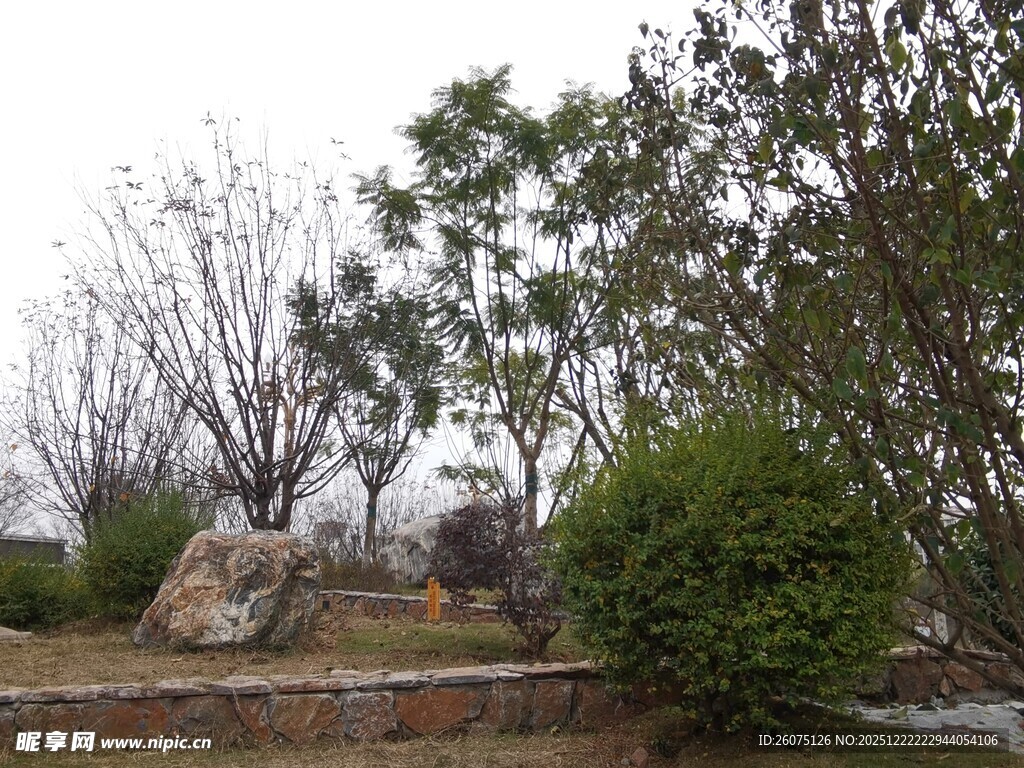 户外园林景观中的绿植与石景