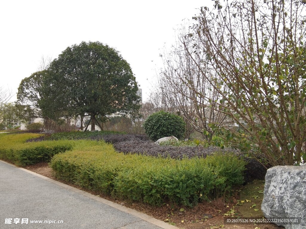 园林景观中的绿植与石景