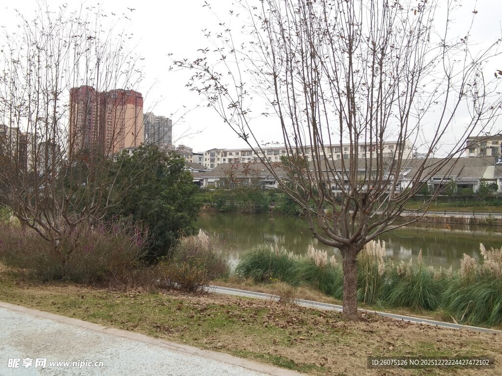 城郊冬日河畔风景