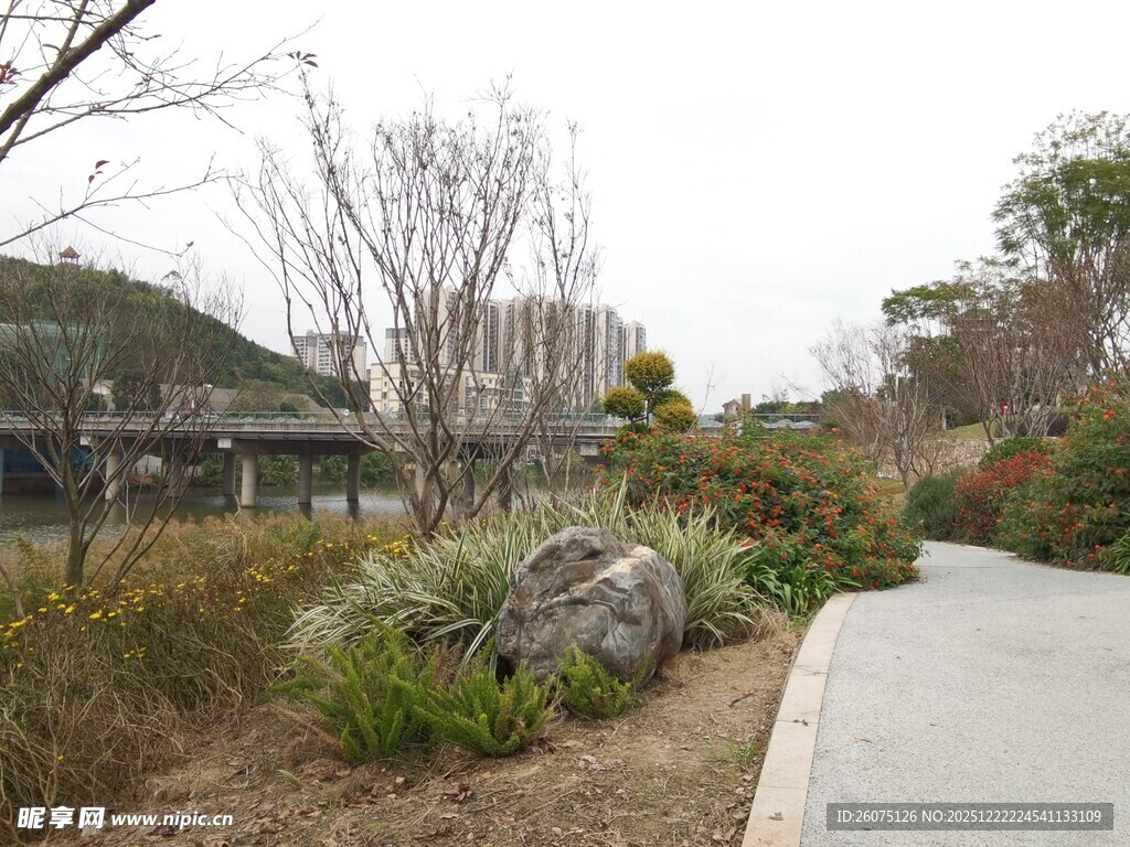 户外自然景观中的小径