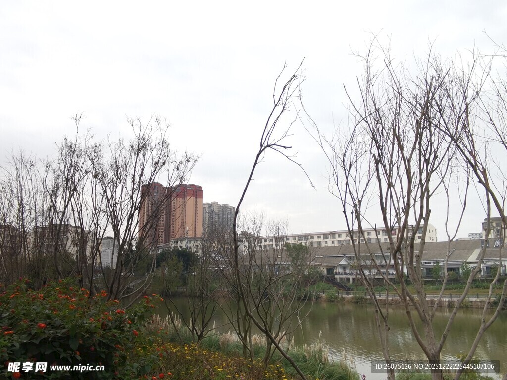 城郊冬日河畔萧瑟景象