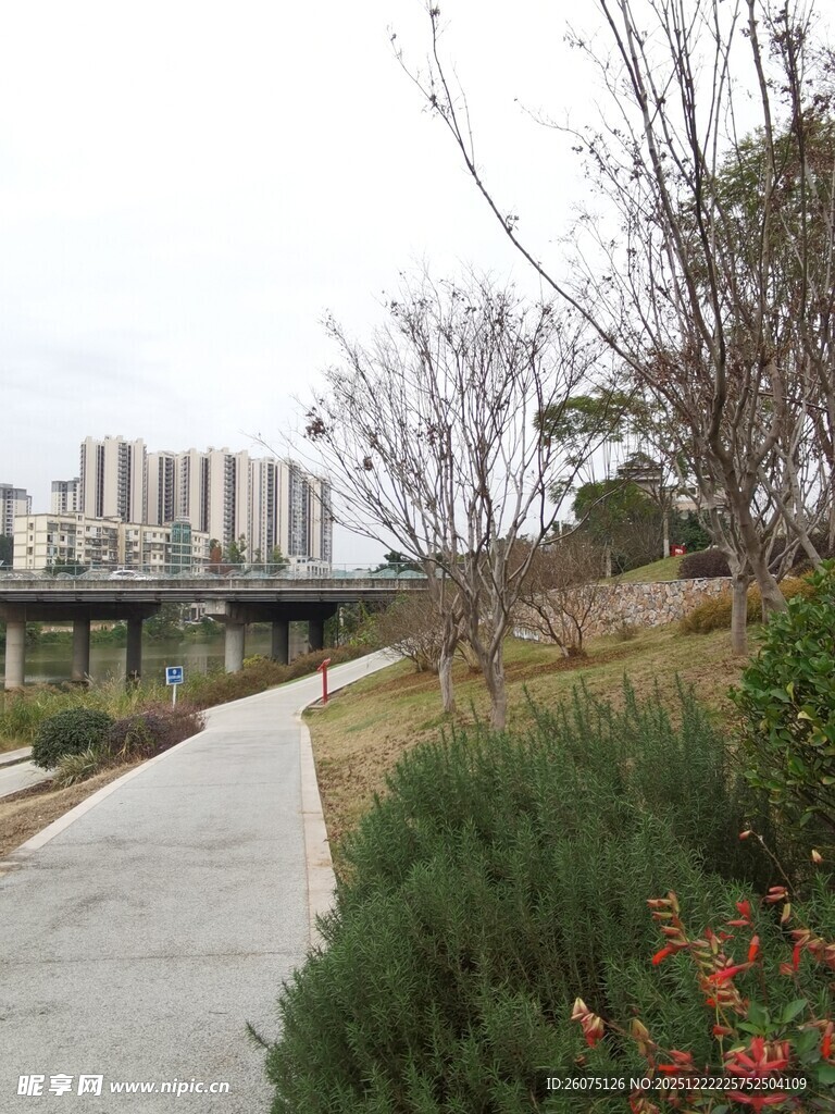 城市中的静谧步道景观