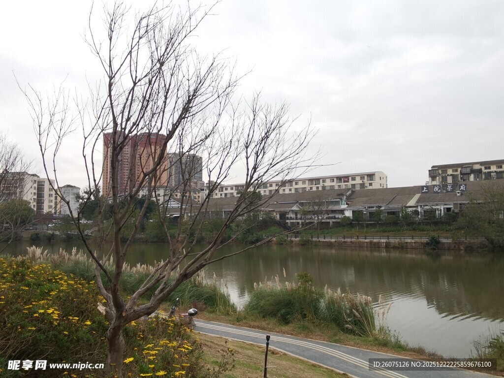 城郊河畔风景