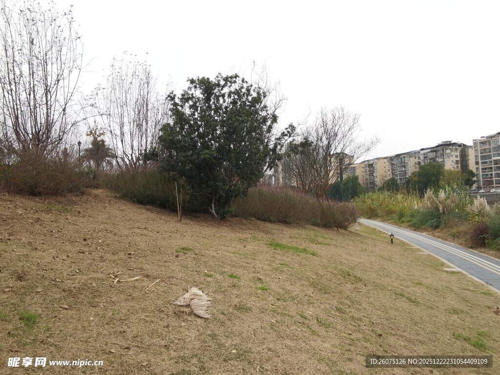 冬日郊野小径景观