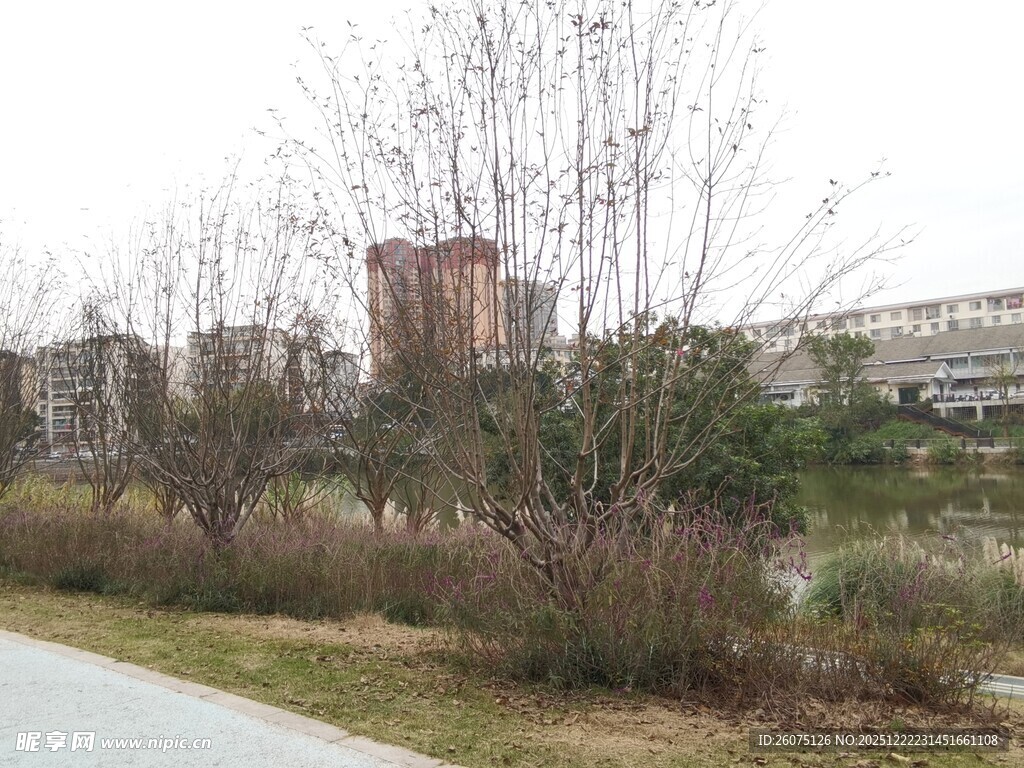 城郊路旁的萧瑟冬日景象