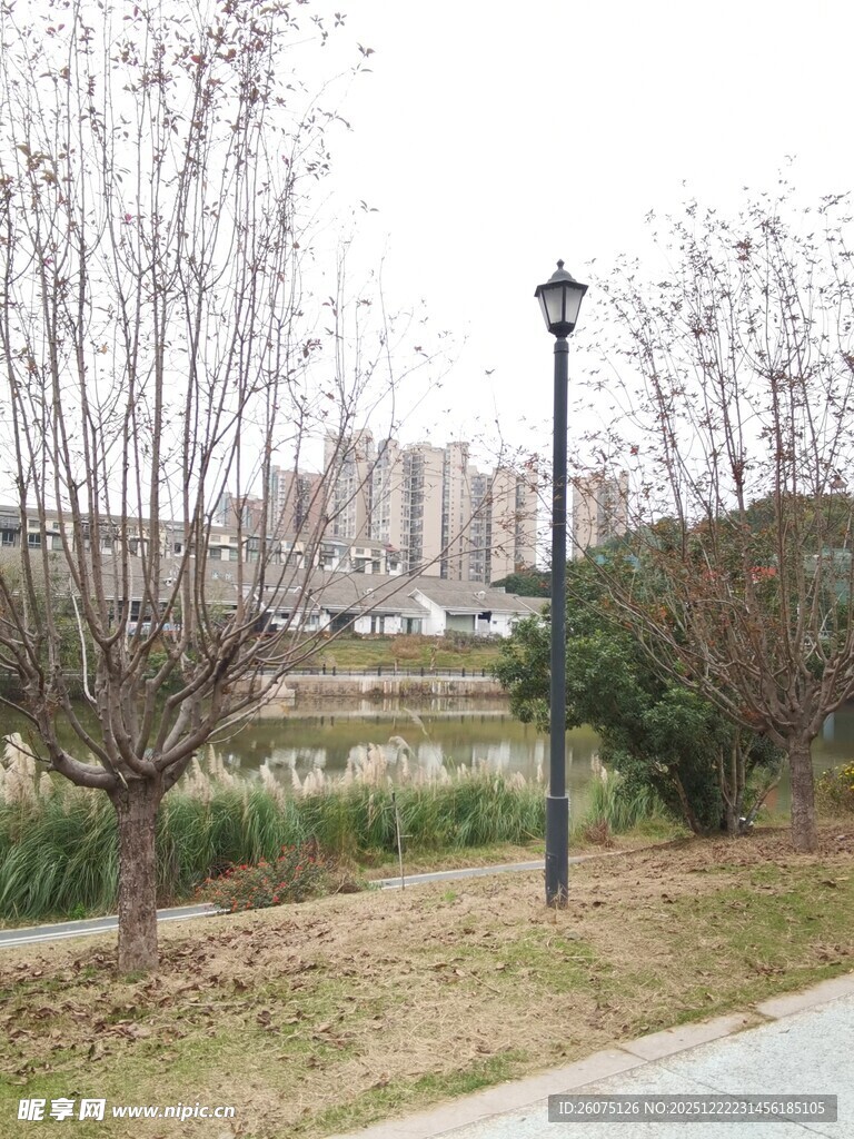 城市公园冬日景致