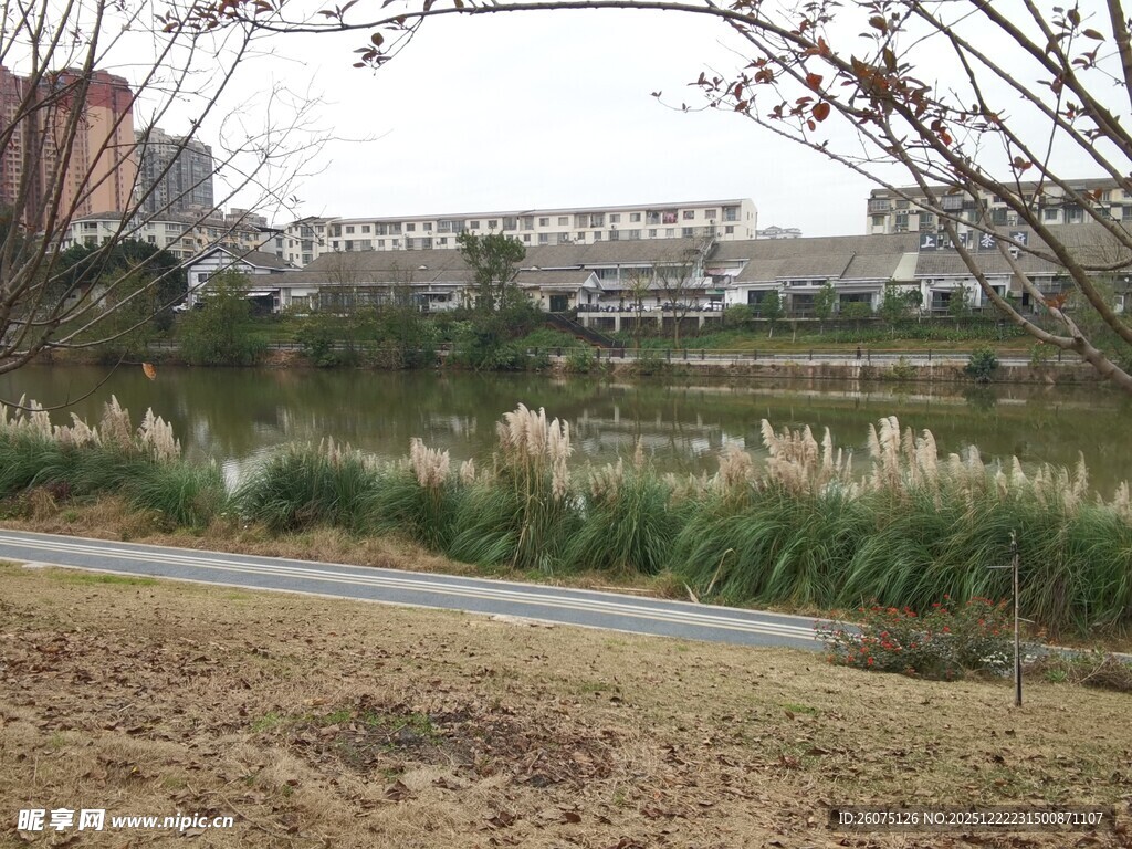 城郊河畔风景