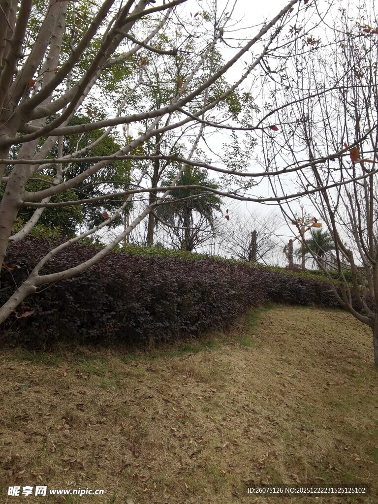 冬日郊野小径景观