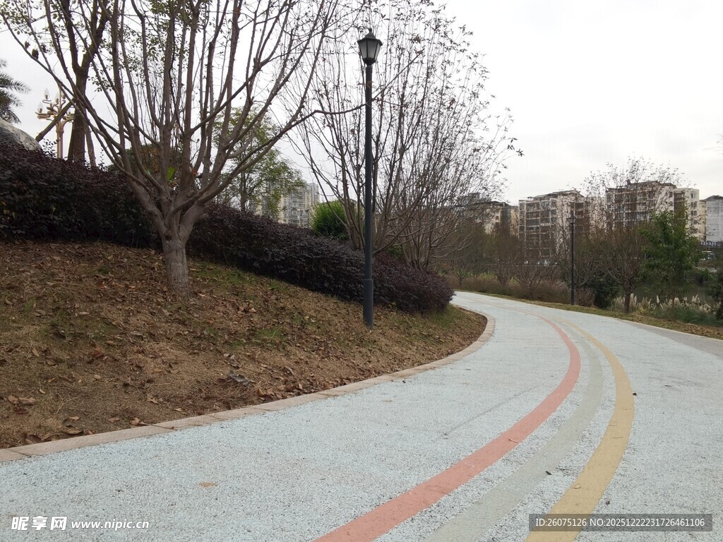 蜿蜒彩色步道冬日景致