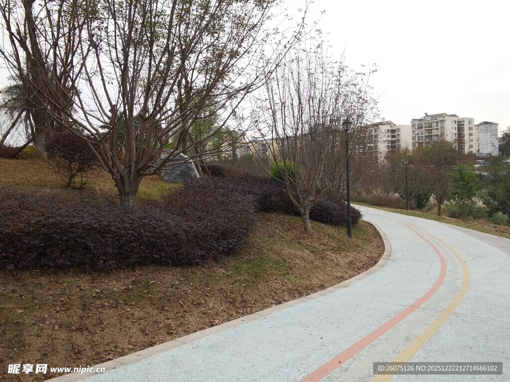 蜿蜒彩色步道城市自然景