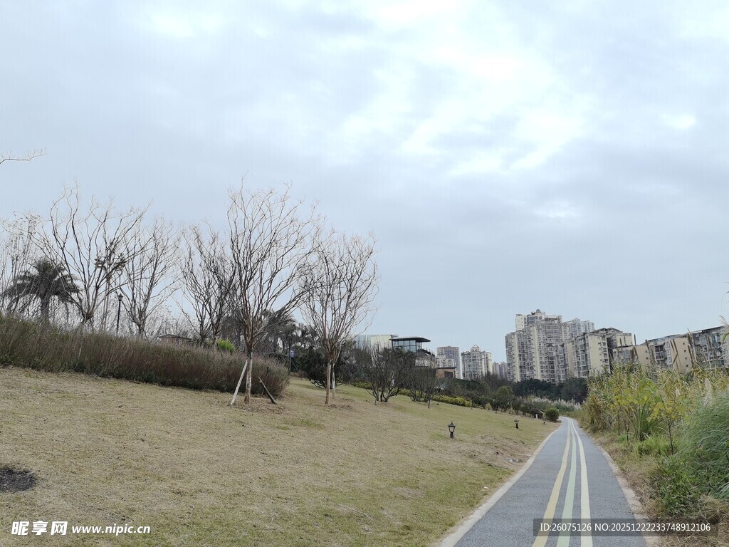 城郊空旷道路旁的萧瑟景象