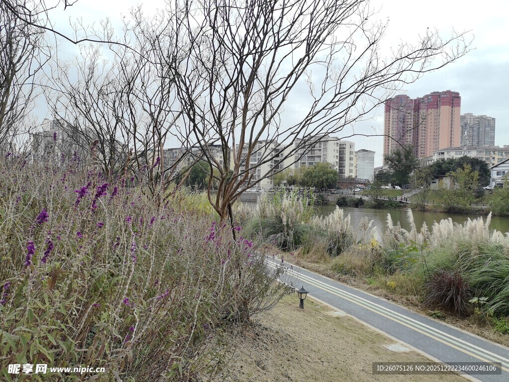 城市河畔的自然景观