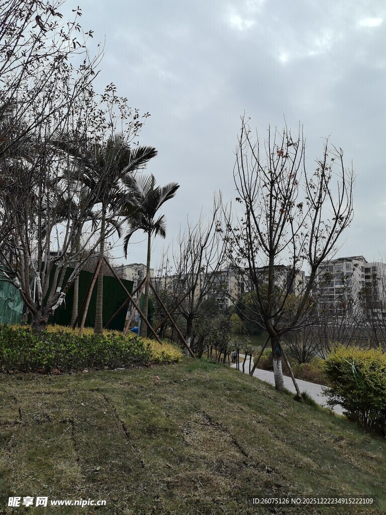 户外园林景观景色