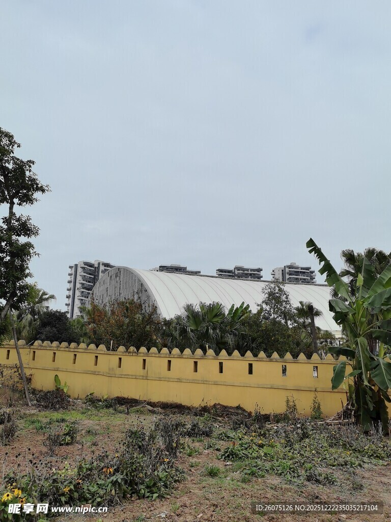 黄色围墙旁的绿植与建筑