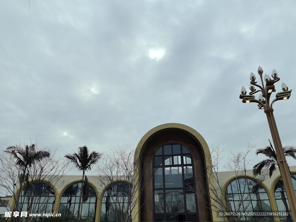 欧式建筑前的棕榈树景观