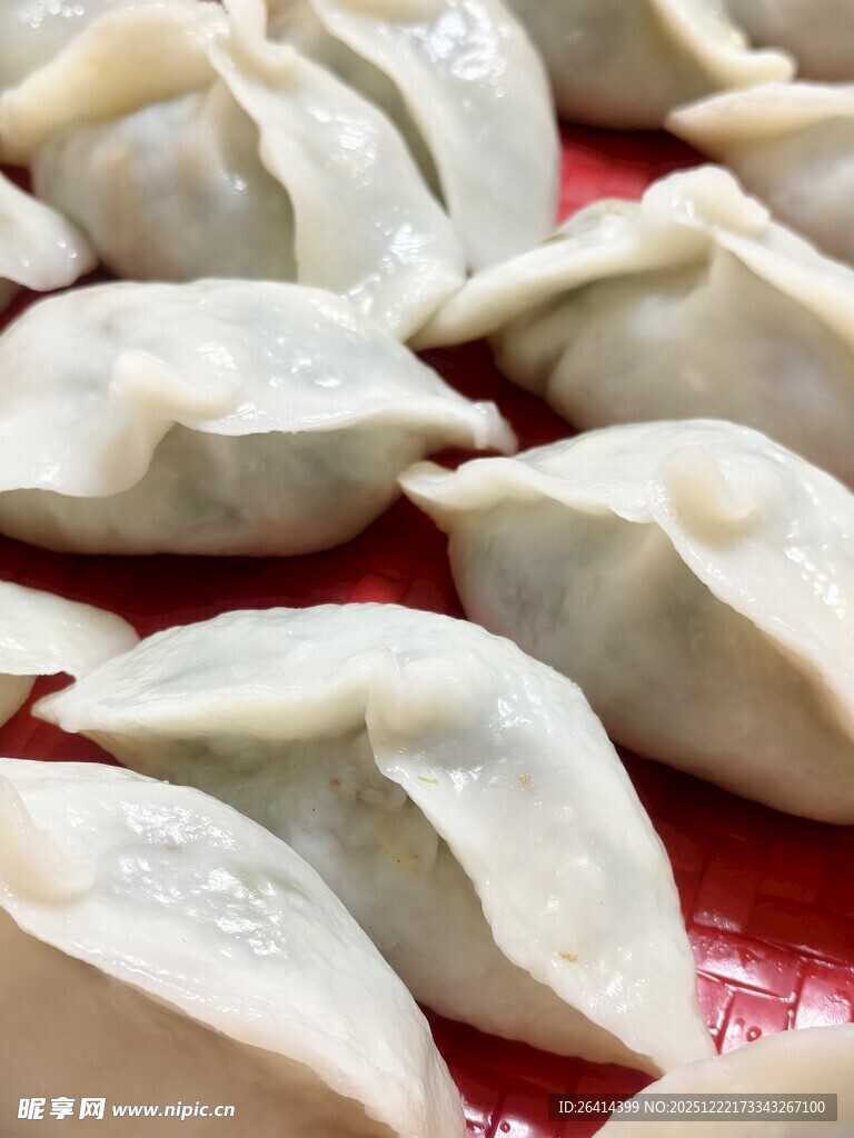 美味饺子特写