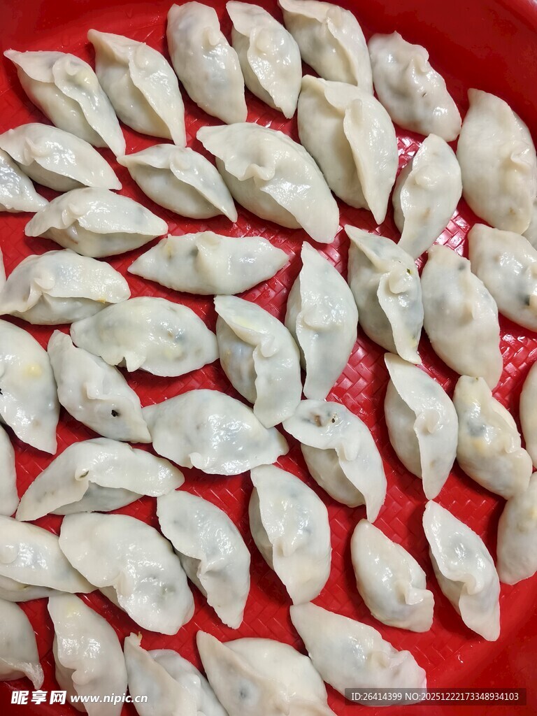 整齐摆放的手工饺子