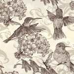 蜂鸟与花卉的复古图案