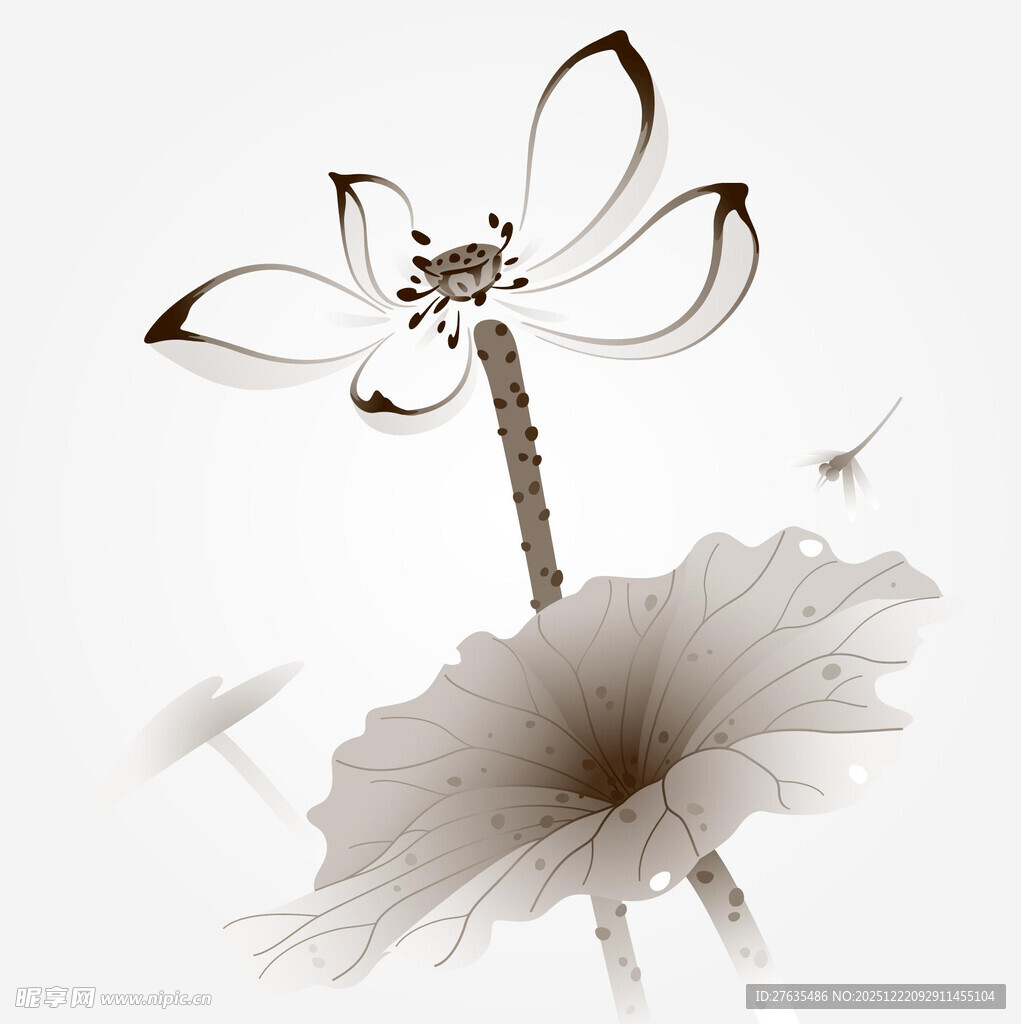 水墨风荷花蜻蜓写意图