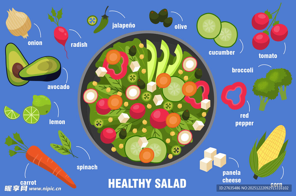 健康美味的蔬菜沙拉拼盘