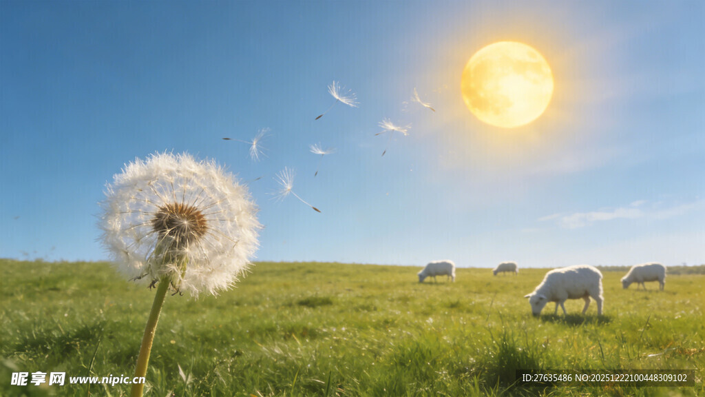 草原上的蒲公英与羊群