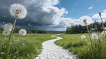 乡间小路蒲公英蓝天美景