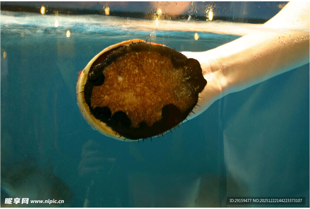 管道内的污垢堵塞景象